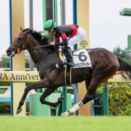 【弥生賞ディープインパクト記念】ライヒスアドラー出色の新馬戦、皐月賞へ