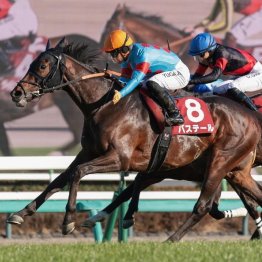 【弥生賞ディープインパクト記念】バステールが直線で人気２頭をまとめて差し切る