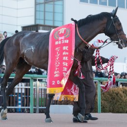 例年より流れた弥生賞　キタサン＋サーアイヴァークロスの決め手が炸裂