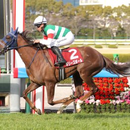 例年より流れた弥生賞　キタサン＋サーアイヴァークロスの決め手が炸裂