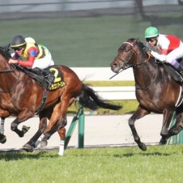 【大阪城Ｓ】７番人気ドラゴンブースト大敗から一変