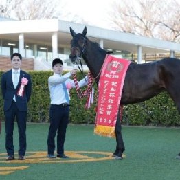 【弥生賞ディープインパクト記念】レース後の談話（ネットオリジナルを含む）