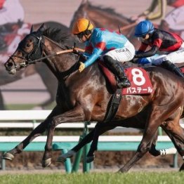 【弥生賞ディープインパクト記念】アドマイヤクワッズ敗戦でますます３歳クラシック路線は混沌