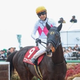 【スプリングＳ】２連勝中の素質馬クレパスキュラーにアスクエジンバラ、サウンドムーブなど参戦