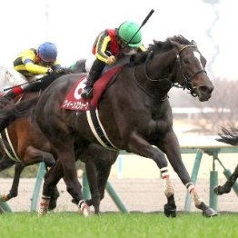 【金鯱賞】春ＧⅠを見据える有力馬が桶狭間に集結