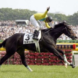 若い頃、対抗心を持っていた１つ下の馬乗りの天才は…