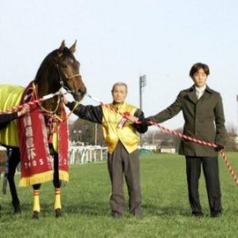 若い頃、対抗心を持っていた１つ下の馬乗りの天才は…