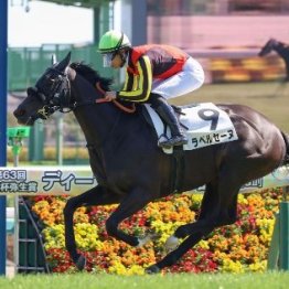 オークスに間に合ってほしいラベルセーヌ