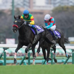 【阪神スプリングＪ】中山グランドＪへの前哨戦で中山大障害①②着馬が激突