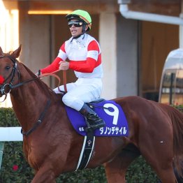 ドバイ回避馬続出で高松宮記念、大阪杯にも大きな影響が