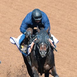 【スプリングＳ】課題が多かったクレパスキュラー今は普通の馬に