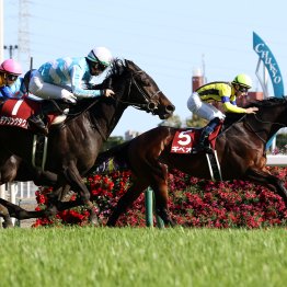 【金鯱賞】データ作戦・逃げ馬が波乱を演出する
