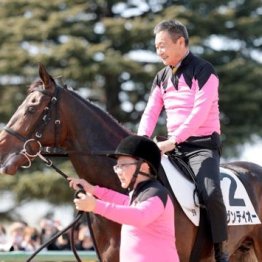 【飯島の土曜競馬コラム・中山８Ｒ】