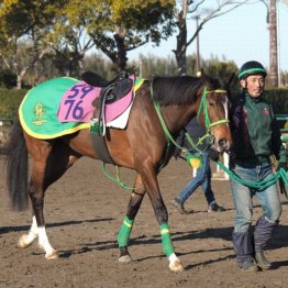 【木津の土曜競馬コラム・アネモネＳ】