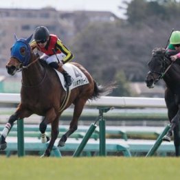 【大谷の土曜競馬コラム・アネモネＳ】
