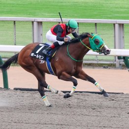 【播磨の土曜競馬コラム・コーラルＳ】