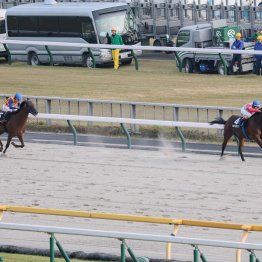 【中京本紙・勝羽の土曜中京11Ｒ】