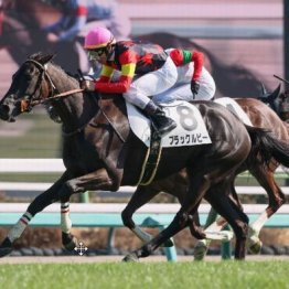 【東京本紙・外山の土曜中山９Ｒ】