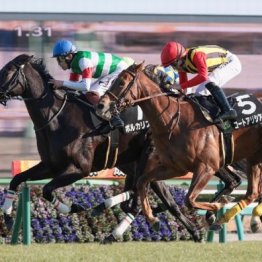 【東京本紙・外山の土曜中山10Ｒ】
