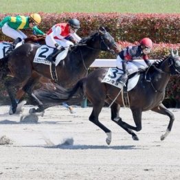 【東京本紙・外山の土曜中山12Ｒ】