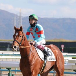 【大阪本紙・弘中の土曜阪神12Ｒ】