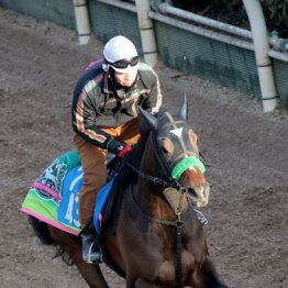 【市川の日曜競馬コラム・金鯱賞】