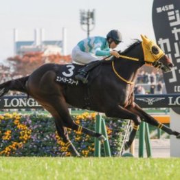 【飯島の日曜競馬コラム・中山10Ｒ】