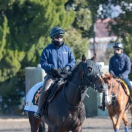 【木津の日曜競馬コラム・スプリングＳ】