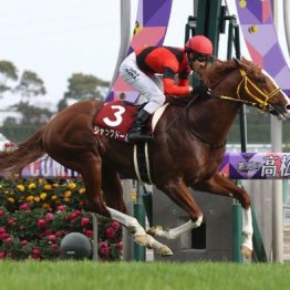 【注目重賞／データで買う・金鯱賞】