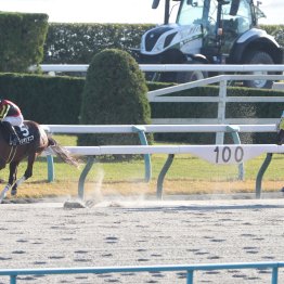 【大阪本紙・弘中の日曜阪神10Ｒ】