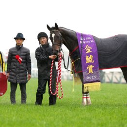 【金鯱賞】クイーンズウォーク休み明けも関係なし連覇濃厚です