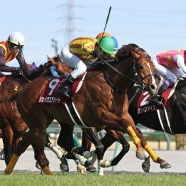 【金鯱賞】シェイクユアハートが中京二千芝で重賞2勝目