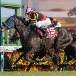 【スプリングＳ】アウダーシアが直線一気に差し切る