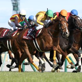 ロングスパート戦で生きたトニービンの血　シェイクユアハート中京二千重賞２勝目