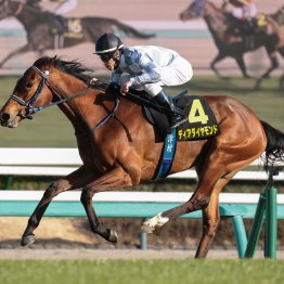 ロングスパート戦で生きたトニービンの血　シェイクユアハート中京二千重賞２勝目