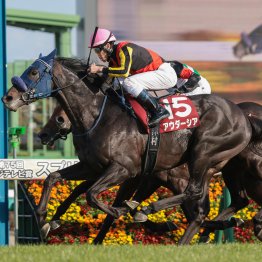 ロングスパート戦で生きたトニービンの血　シェイクユアハート中京二千重賞２勝目