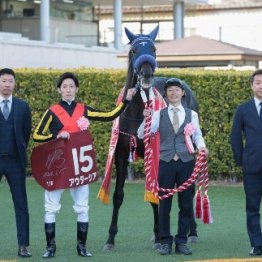 【スプリングＳ】レース後の談話（ネットオリジナルを含む）