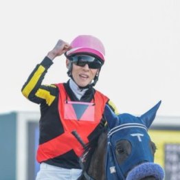 【スプリングＳ】アウダーシア好記録でＧⅠに名乗り