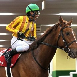 【金鯱賞】レース後の談話（ネットオリジナルを含む）