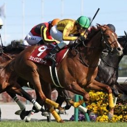 【金鯱賞】シェイクユアハートこれぞハーツクライ産駒の覚醒型