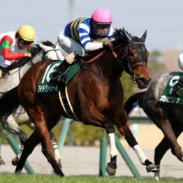 【愛知杯】牝馬の千四巧者が集結