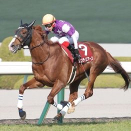 【阪神大賞典】混戦ムードの長距離路線に新星誕生なるか