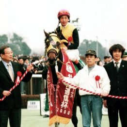 今週出走するマピュースの新馬勝ちには裏話が