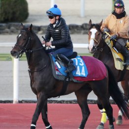 【阪神大賞典】ダノンシーマ白星街道
