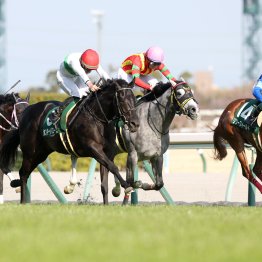 【ファルコンＳ】枠順泣き笑い　過去14年間で６枠は馬券圏内ゼロ