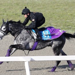 【阪神大賞典】１週前に６Ｆ77秒８　アドマイヤテラ馬なりでもう十分