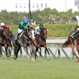 【ファルコンＳ・愛知杯】ハイラップでの激戦にのちのお宝馬が潜む