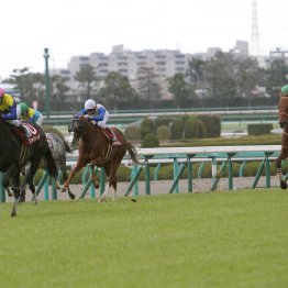 【阪神大賞典】データ作戦　頭は人気サイドから②③着に伏兵を
