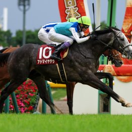 【阪神大賞典】アドマイヤテラ反撃態勢