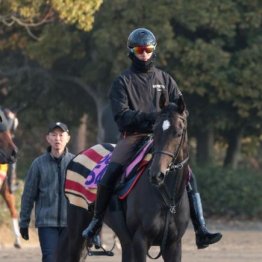 【新居の土曜競馬コラム・フラワーＣ】